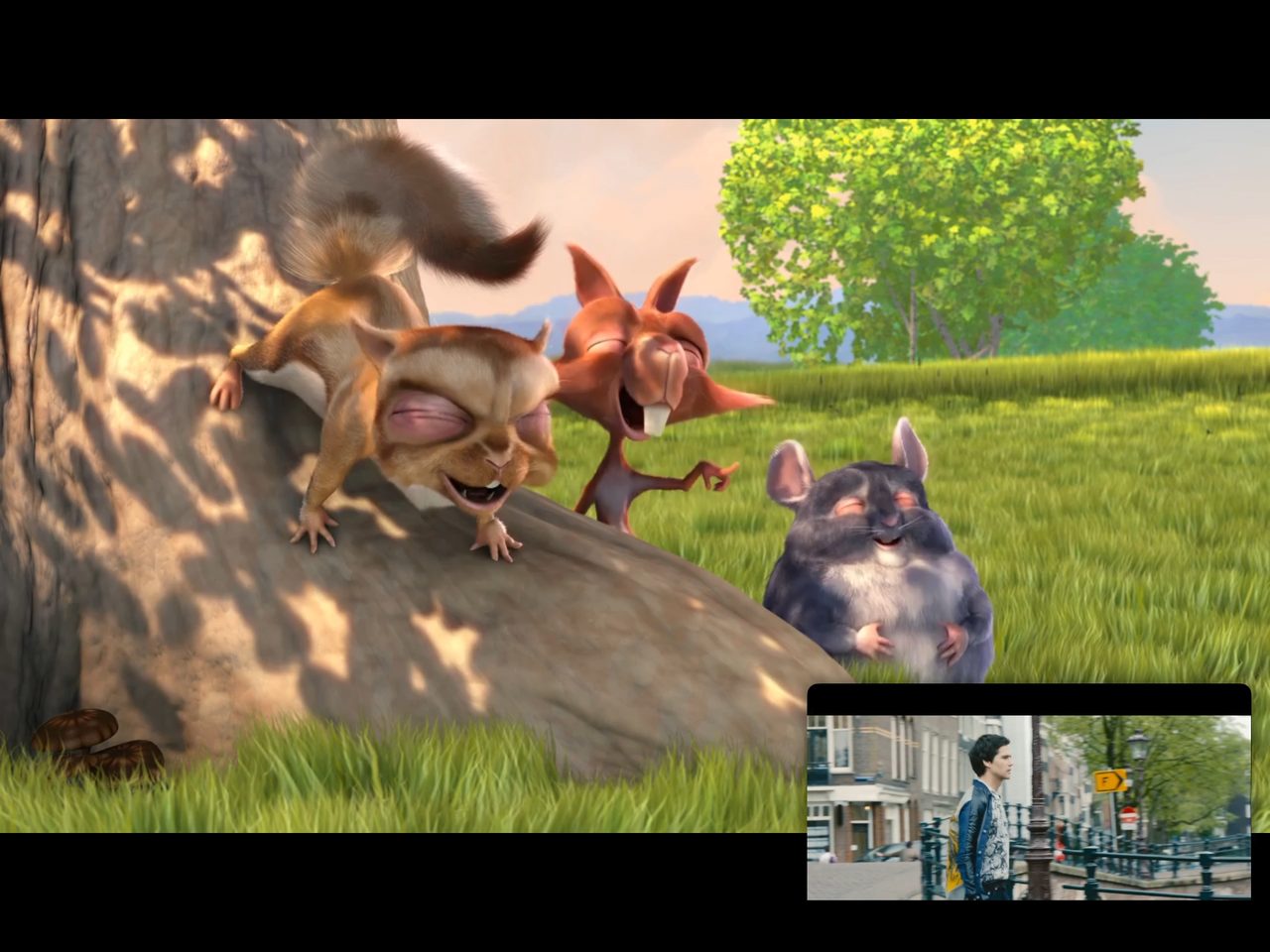 Zwei Live-Sender nebeneinander in Multi View auf dem iPad.